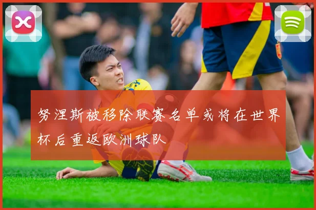 努涅斯被移除联赛名单或将在世界杯后重返欧洲球队