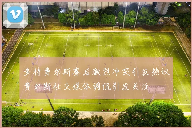 多特费尔斯赛后激烈冲突引发热议费尔斯社交媒体调侃引发关注