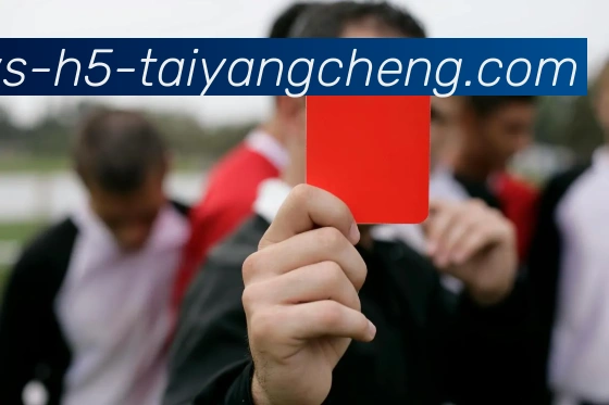 太阳城发展历程